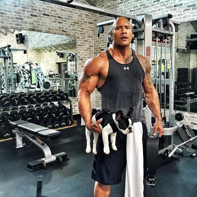 The Rock Diet - What Dwayne Johnson Eats in a Day