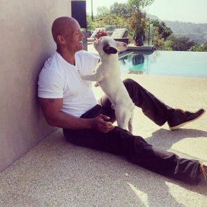 The Rock Dwayne Johnson's social media accounts to follow