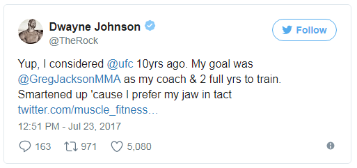 rock dwayne johnson ufc fighter